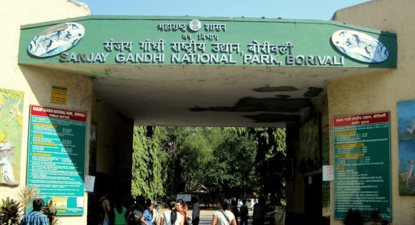 7. Sanjay Gandhi National Park